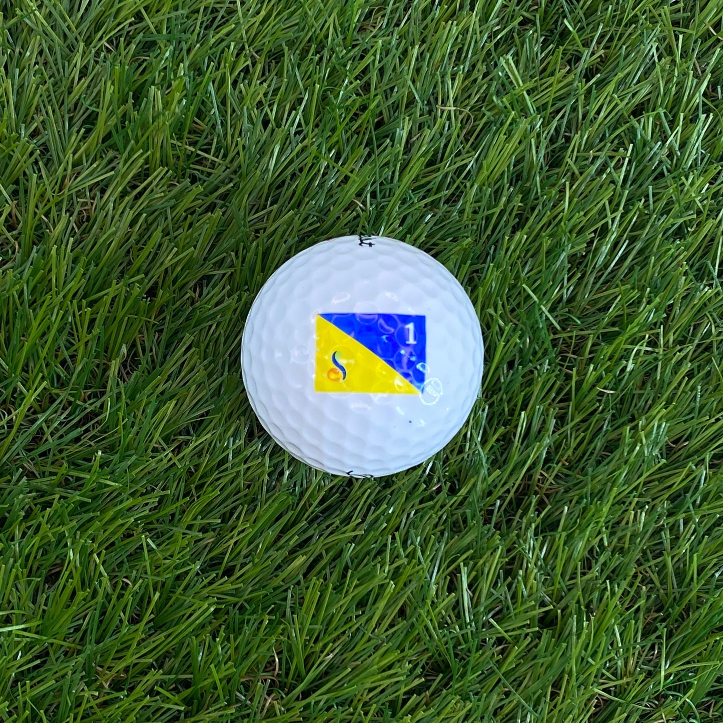 Titleist Streamsong Blue Jar Ball