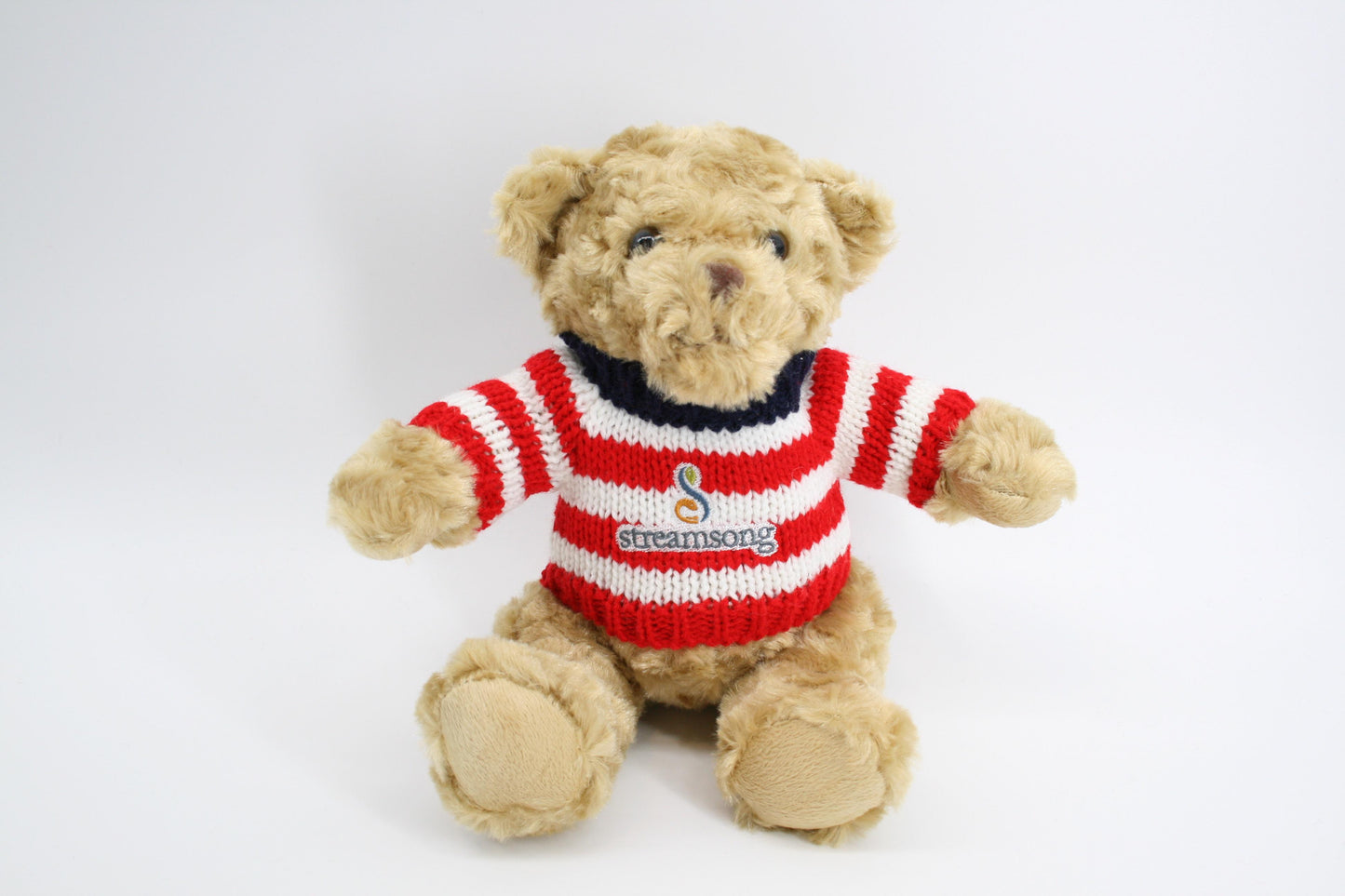 PRG Teddy Bear